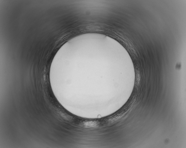 X0000116320216201001131010