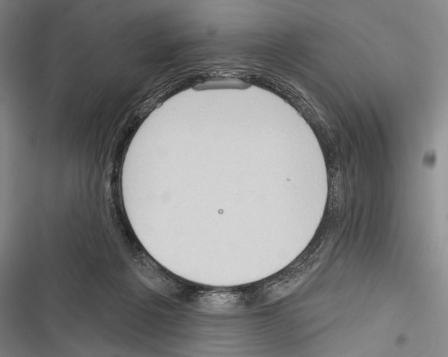 X0000116320217201001131010