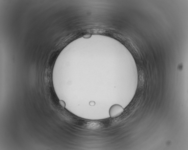 X0000116320218201001131010