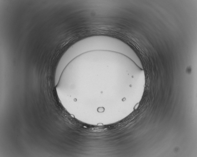 X0000116320219201001131010