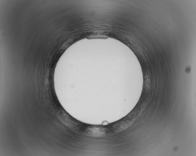 X0000116320221201001131010