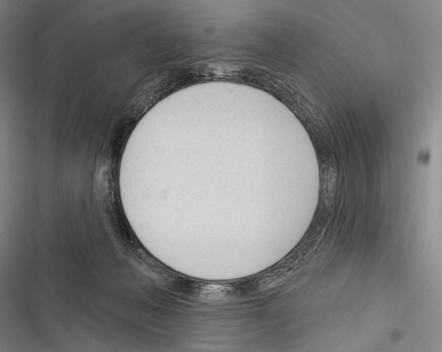 X0000116320222201001131010