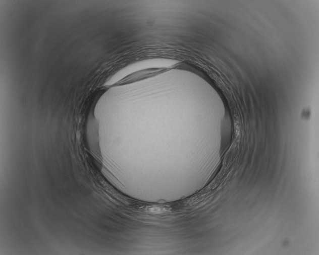 X0000116320223201001131010