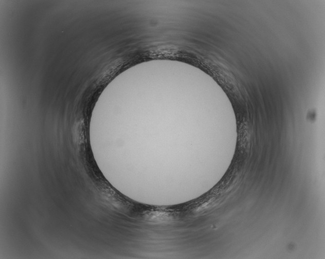 X0000116320224201001131010