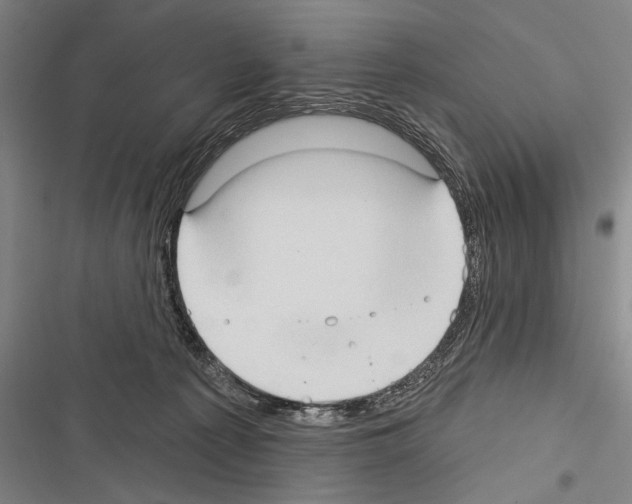 X0000116320225201001131010