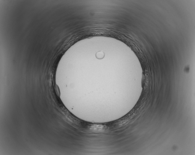 X0000116320227201001131010