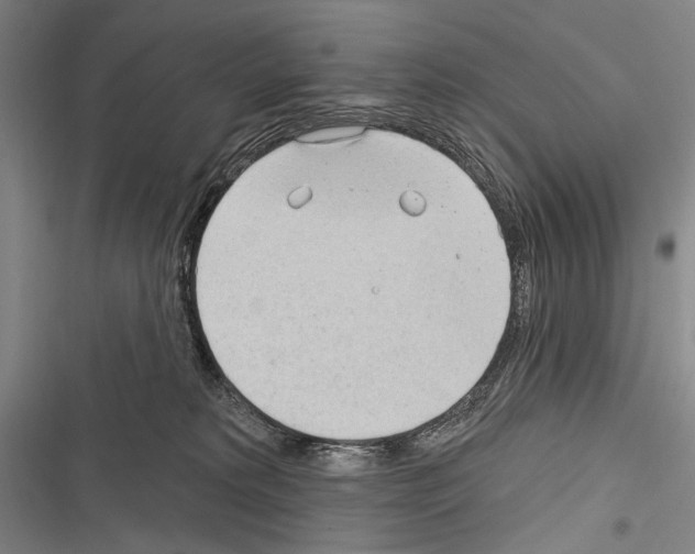 X0000116320229201001131010