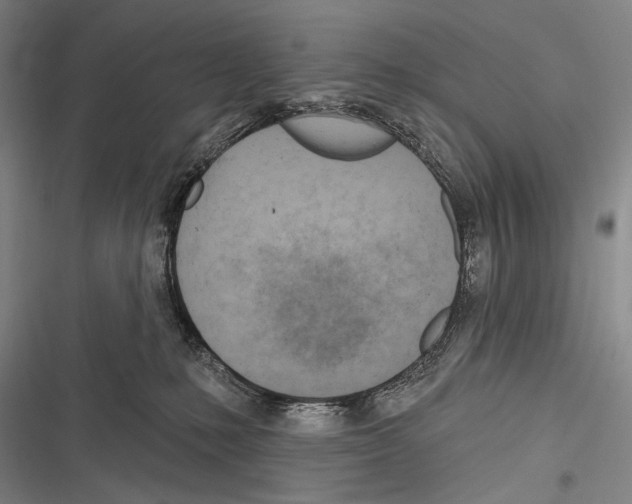 X0000116320231201001131010