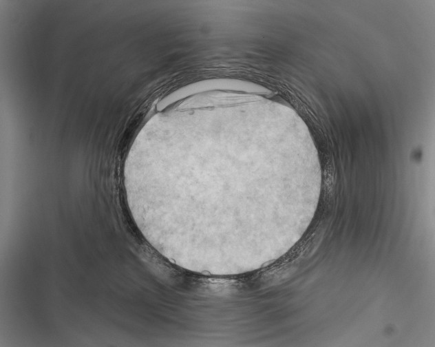 X0000116320233201001131010