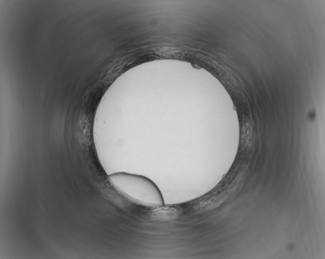 X0000116320234201001131010