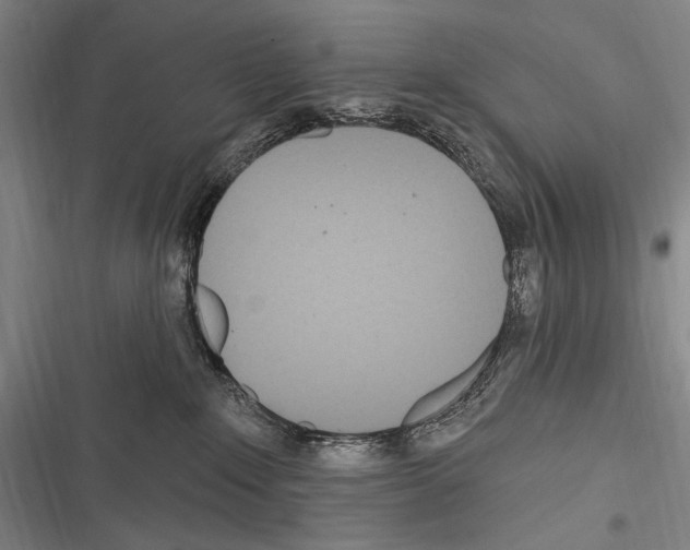 X0000116320235201001131010