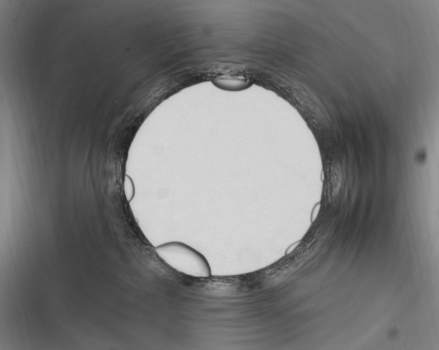 X0000116320236201001131010