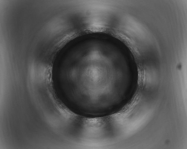 X0000116320237201001131010