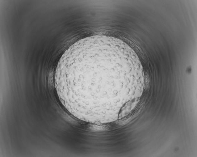 X0000116320238201001131010