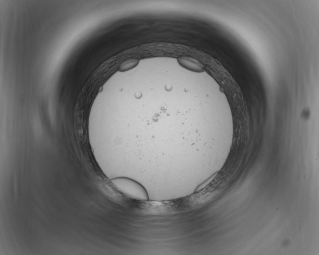 X0000116320239201001131010