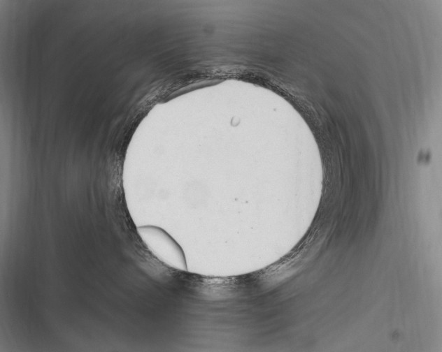 X0000116320240201001131010