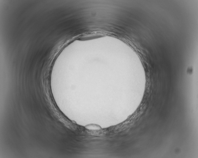 X0000116320241201001131009