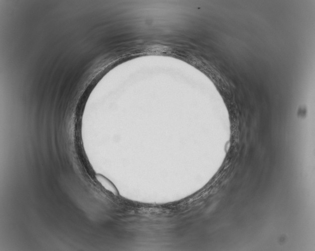 X0000116320242201001131009