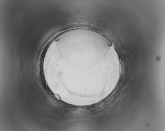 X0000116320243201001131009