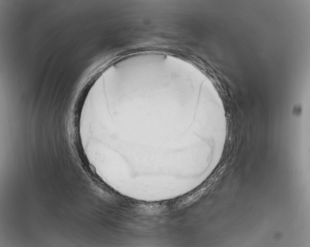 X0000116320245201001131009