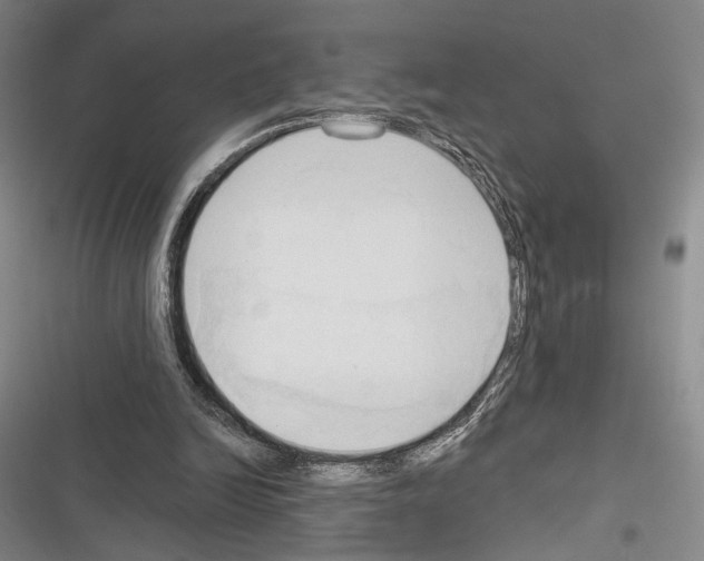 X0000116320246201001131009