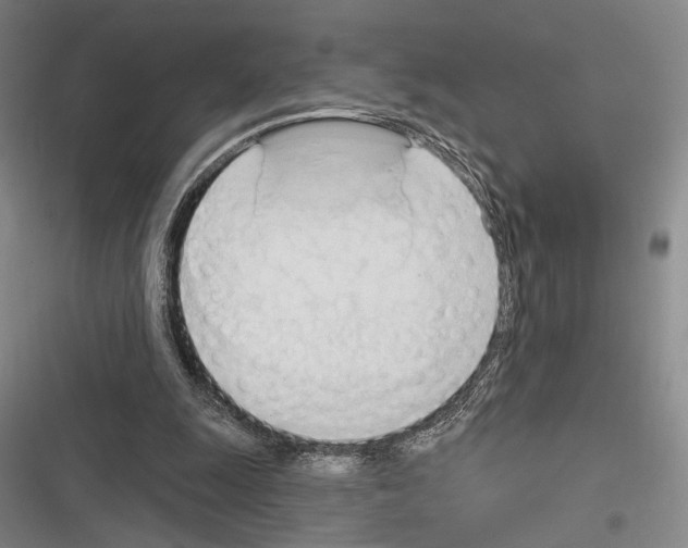 X0000116320247201001131009