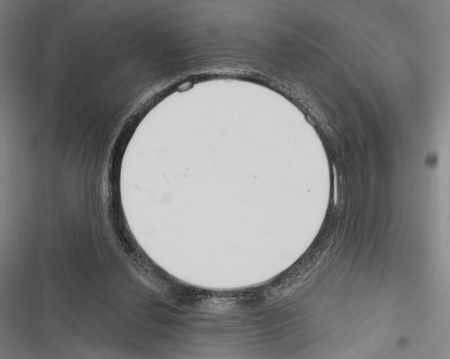 X0000116320252201001131009