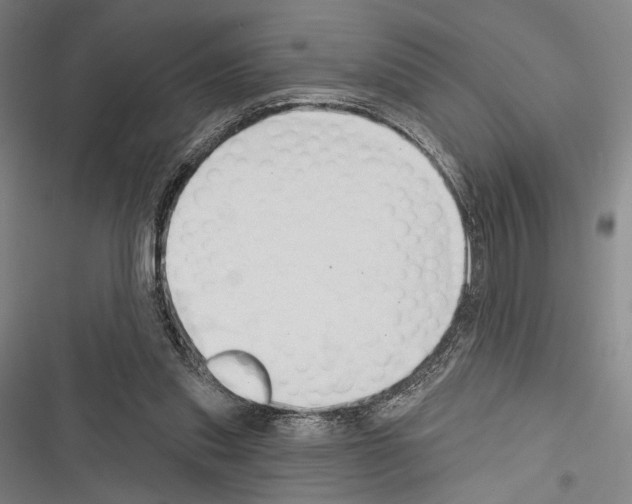 X0000116320253201001131009