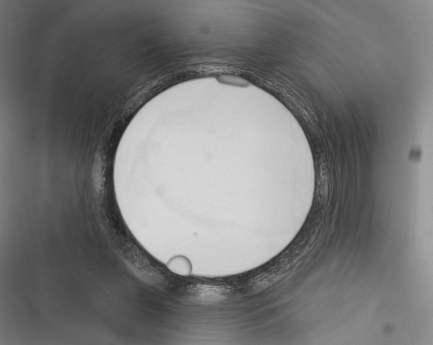 X0000116320255201001131009