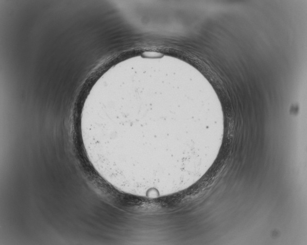 X0000116320256201001131009