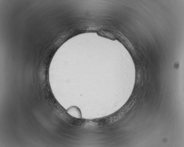 X0000116320257201001131009