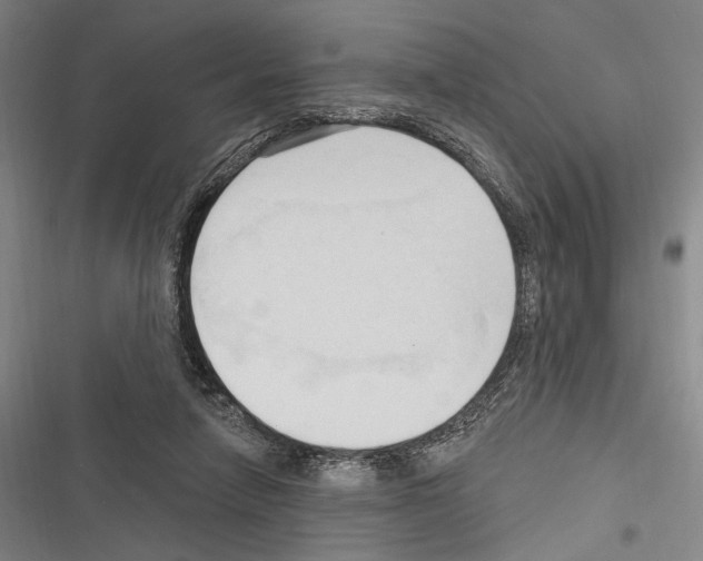 X0000116320258201001131009