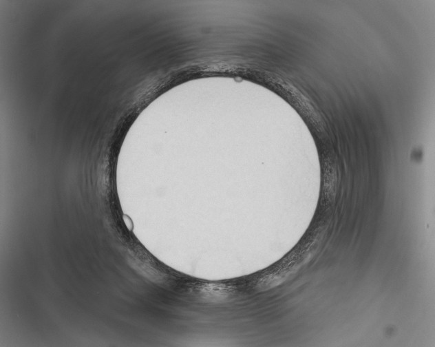 X0000116320261201001131009