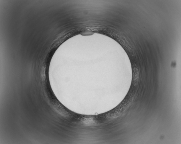 X0000116320262201001131009