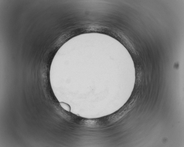 X0000116320265201001131009