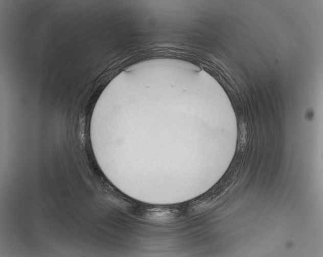 X0000116320267201001131009