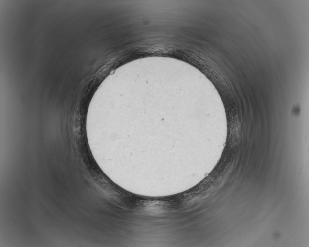 X0000116320268201001131009