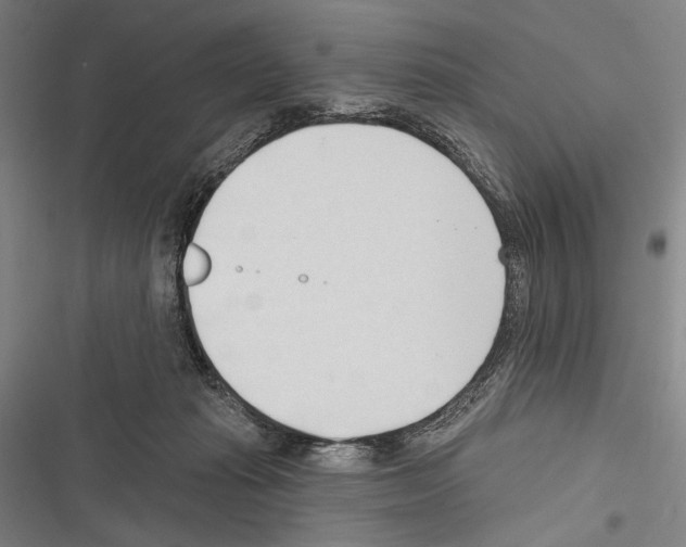 X0000116320269201001131009