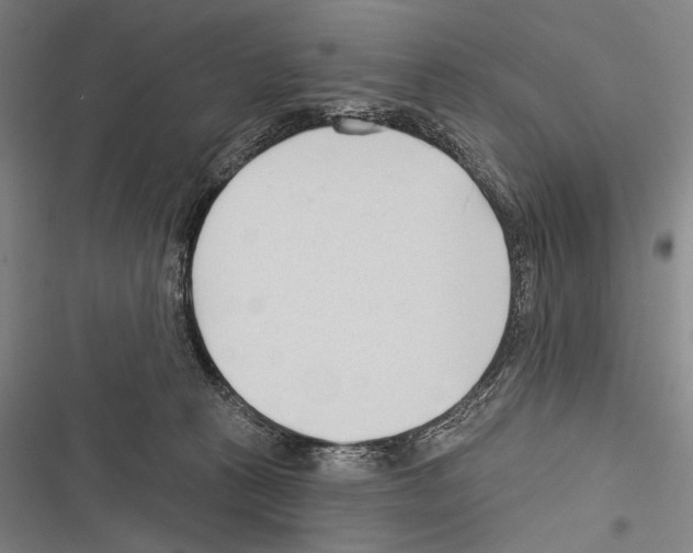 X0000116320273201001131010