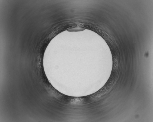 X0000116320274201001131010