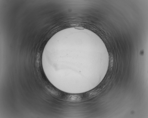 X0000116320275201001131010