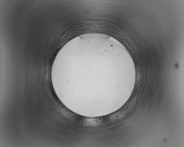 X0000116320277201001131010