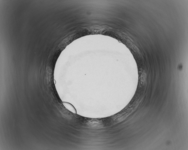 X0000116320283201001131010