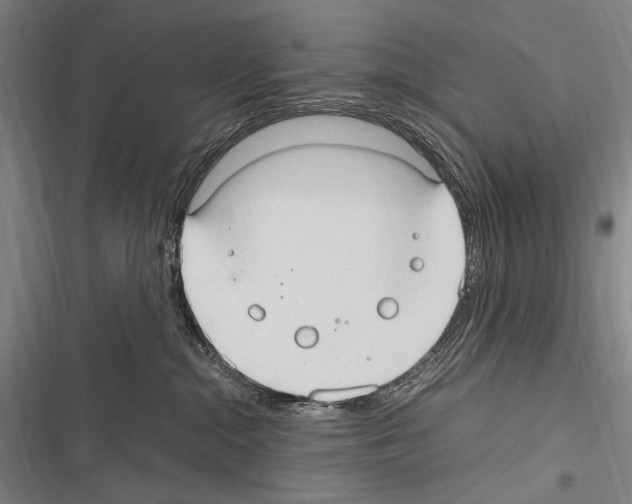 X0000116320284201001131010