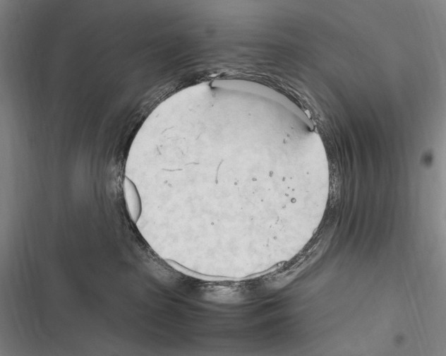 X0000116320285201001131010