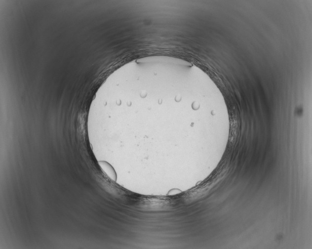 X0000116320286201001131010