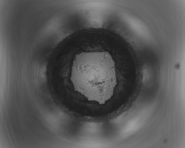 X0000116320287201001131010