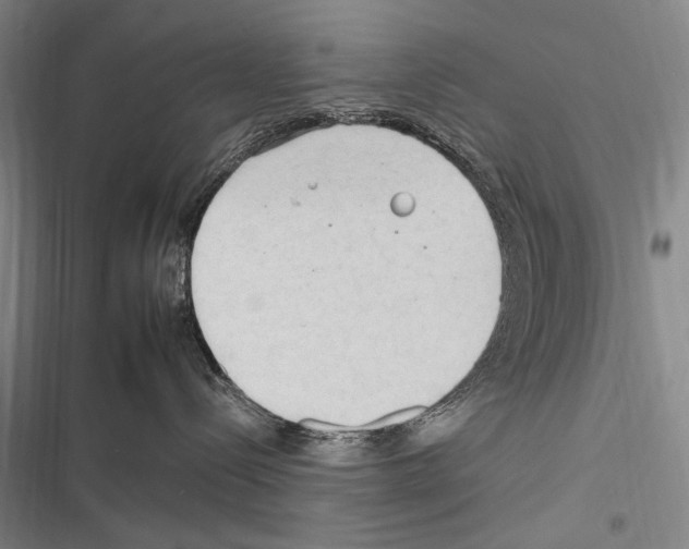 X0000116320288201001131010