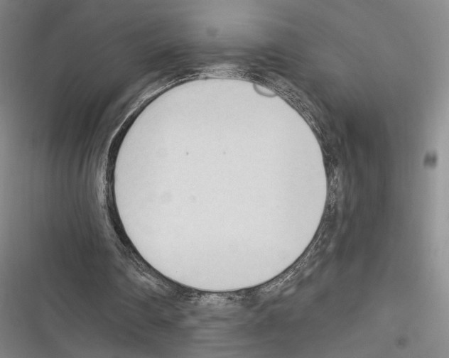 X0000116320290201001131009