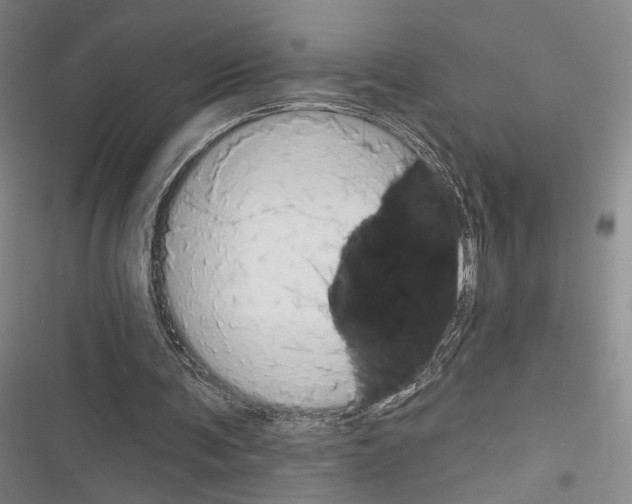 X0000116320291201001131009